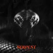 Обложка: Sam Tinnesz & Tommee Profitt - Serpent