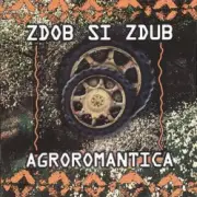 Обложка: Zdob și Zdub - Tempo