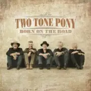 Обложка: Two Tone Pony - Curtains