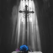 Обложка: Ava Max - Lost Your Faith (SONIKKU Remix)