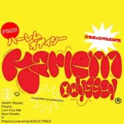 Обложка: DJ POLKOMTEL, DJ BLIK - Harlem Odyssey