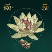 Обложка: 25/17 - Мальчик