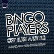 Обложка: Bingo Players - Cry (Just A Little) (A-Trak & Phantoms Remix Edit)