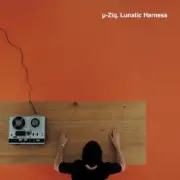 Обложка: U-Ziq - Midwinter Log