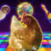 Обложка: J.Geco - Chicken Jockey