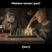 Обложка: Speechhouse & KRBK & lil makaka - Макака читает рэп