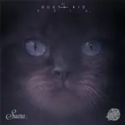 Обложка: Dusty Kid - Sysma (Original Mix)