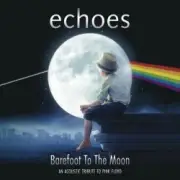 Обложка: Echoes - Shine on you crazy diamond