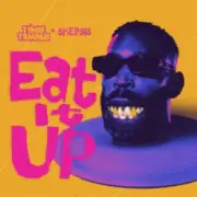 Обложка: Tinie Tempah & Skepsis - Eat It Up
