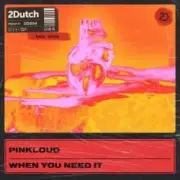 Обложка: Pinkloud - When You Need It
