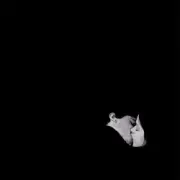 Обложка: Bob Moses - Like It Or Not