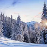 Обложка: Y.K. MUSIC - ОЙ, КАРПАТИ - БІЛІ ШАТИ