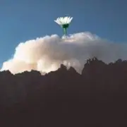 25/17 & Ёлка - Любовь во время чумы