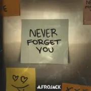 Обложка: AFROJACK - Never Forget You