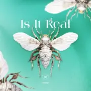 Обложка: Kabo - Is It Real (Extended Mix)