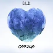 Обложка: D.L.S. - Сердце
