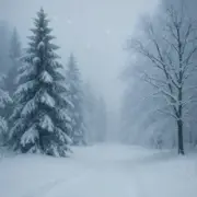 Обложка Dj David Braun – Це все зима (feat. Anna Helmut)