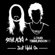 Обложка: Steve Aoki & Louis Tomlinson - Just Hold On