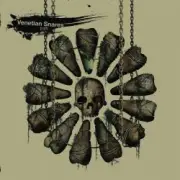 Обложка: Venetian Snares - Tache