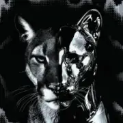 Обложка: DJ HARDWICK - WHAT THE FRICK (Super Slowed)