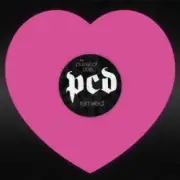 The Pussycat Dolls & Snoop Dogg - Buttons (Music Video Edit)