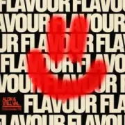 Alok & Still Val - Flavour