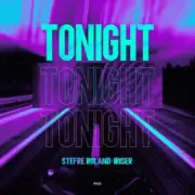 Обложка: Stefre Roland - Mos Night
