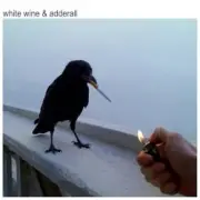 Обложка: The Chainsmokers & Beau Nox - White Wine & Adderall