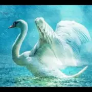 Обложка: Lacross - Save Me (Swan Lake)