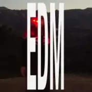 Обложка: pluko - NEVER FADE