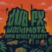 Dub FX & Mr Woodnote - COME AGAIN (feat. Prezence)