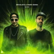 Обложка: Mr. Black and Mark Sixma - Shine