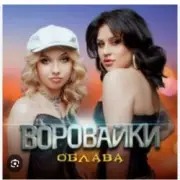 Обложка: Воровайки - Держи вора