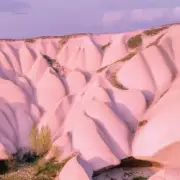 Обложка: Autechre - Netlon Sentinel