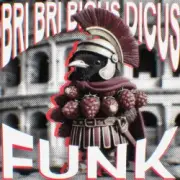 Обложка: DJ Rio, Oxyzenk, Pxlterror Funk - Bri Bri Bicus Dicus Funk