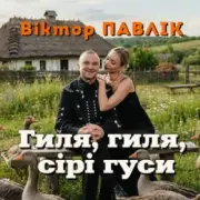 Обложка: Віктор Павлік - Гиля, гиля, сірі гуси
