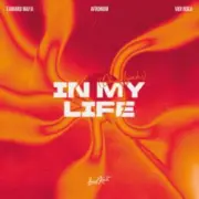 Обложка: Edward Maya & AFRONOM & vidi roca - In My Life (Oh Ayah)