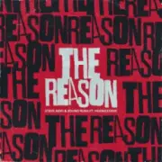 Обложка: Steve Aoki & Sound Rush & Hoobastank - The Reason