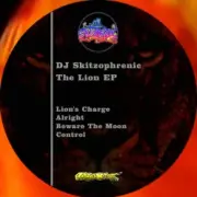 Обложка: DJ Skitzophrenic - Alright