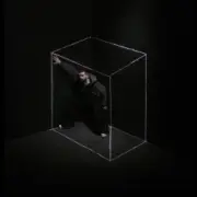 Обложка: Noize MC - Кооператив «Лебединое озеро» (Remix) [feat., ProtoCaryotes]