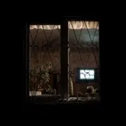 Обложка: Honeyfrequency - Курьер