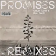 Обложка: Calvin Harris;Sam Smith - Promises (David Guetta Remix)