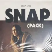 Обложка: Snap! - Ex-Terminator