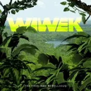 Обложка: Wiwek - Salute