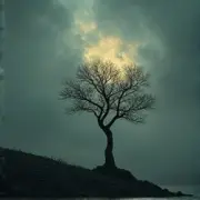 Обложка: Sanches (В. Бенедиктов) - Жизнь и смерть