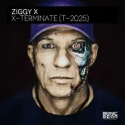Обложка: Ziggy X - Connexion