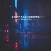 Обложка: skyfall beats - mist