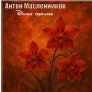 Обложка: Антон Масленников - Дикие орхидеи