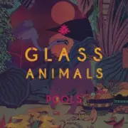 Обложка: Glass Animals - Pools