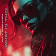 Обложка: Alex van Sanders, ENIGMAN - Hypnotic